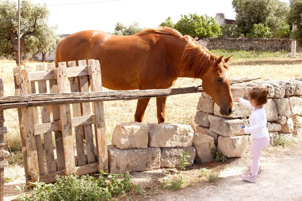 Masseria Curatori Монополи Экстерьер фото